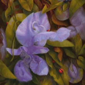 The Lady's Lair by Sherrie Nielsen