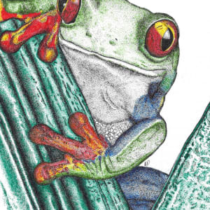 Fantastic Frog by Kecia Olney