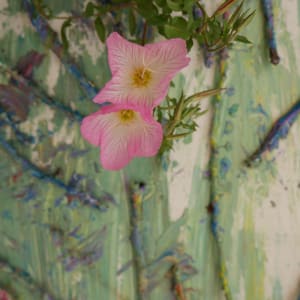 Pink and Green by Kimberly Overton