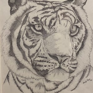 Tiger by Barbara Page