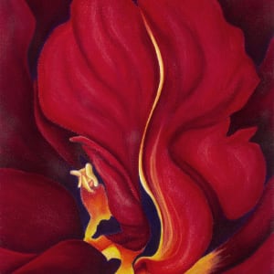 Firebird by Marcia J. Popp