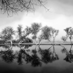 Clearing Fog by Evan Powell