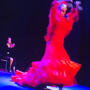 Flamenco Diva by Judy Quitoriano