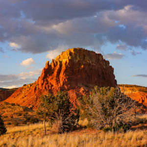 Colors of the High Desert by Miriam R. Rieck