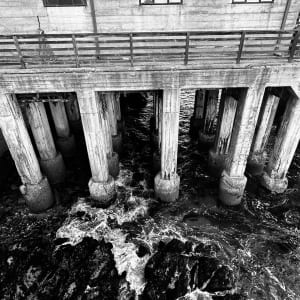 Cannery Row by Miriam Schulman