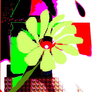 The Daisy by Michelle M. Scotti