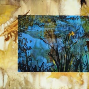 Iris by Hani Shafran