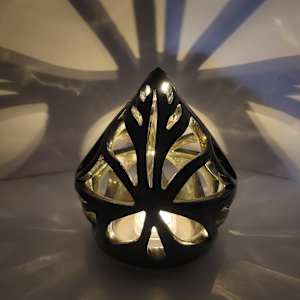 Luminous Butterfly by Nima Shokrani