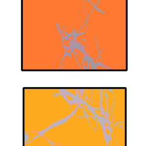 Attractors by James Slezak