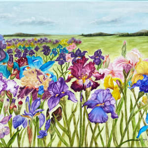 The Iris Field by Kathy Joyce Smalley