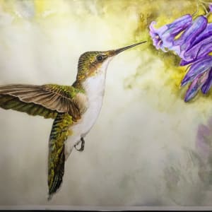 Freedom by Victoria Steed