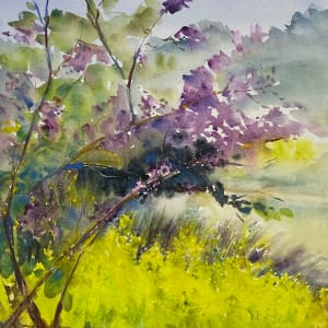 Judas Tree by P. Steinmetz