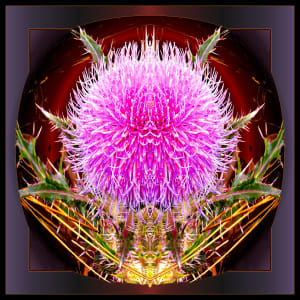 Reengineered Thistle Bloom by Richard Stevens