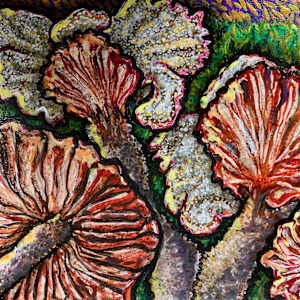 Deceiver Mushrooms by Jonas Thaler