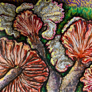 Deceiver Mushrooms by Jonas Thaler
