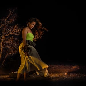Hiʻiaka by Lehuanani Waipa-Ah Nee