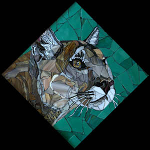Mountain Lion by Karla Watson