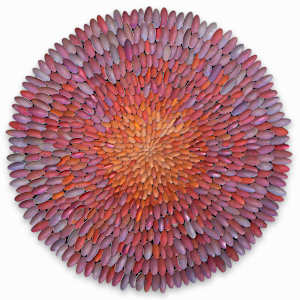 Smoke Tree Blossom by John Whitmarsh