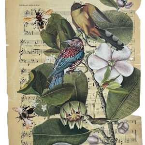 In the garden by Stacey Zimmerman