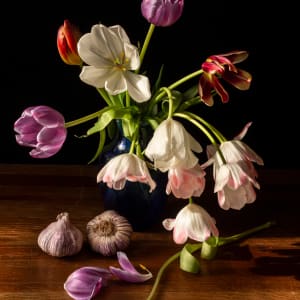 Chiaroscuro Tulips 4 by Andrea Zinn