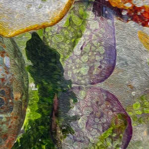 Circles & Curves by Alison Sigethy