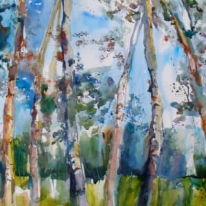 Colorado Birches by Marilyn Rose