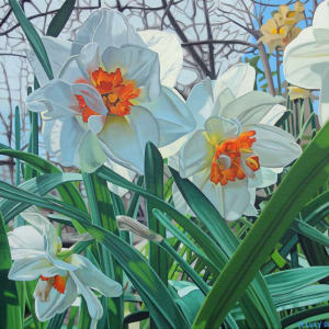 Daffodils I