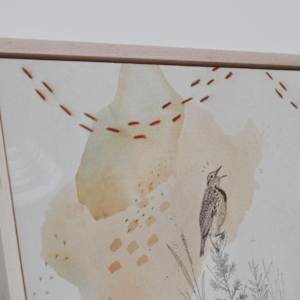 Western Meadowlark Canvas Print by Alicia Hauff Studio 