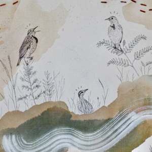 Western Meadowlark Canvas Print by Alicia Hauff Studio 