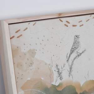 Baird's Sparrow Canvas Print by Alicia Hauff Studio 