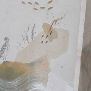 Baird's Sparrow Canvas Print by Alicia Hauff Studio 