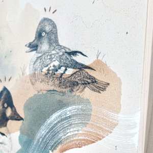Common Goldeneye, the Bond of Ducks by Alicia Hauff Studio 