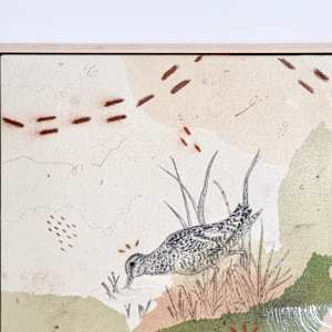 Wilson’s Snipe, the Real Deal by Alicia Hauff Studio 