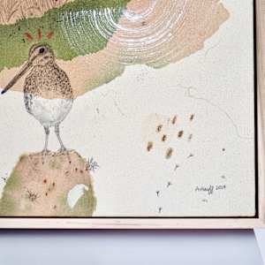 Wilson’s Snipe, the Real Deal by Alicia Hauff Studio 