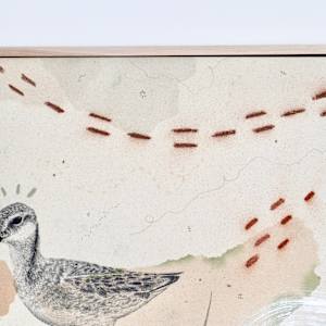 Wilson’s Phalaropes Put a Spin on It by Alicia Hauff Studio 