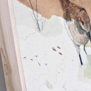 Wilson’s Phalaropes Put a Spin on It by Alicia Hauff Studio 