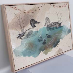 Northern Shoveler, Filter Feeding Champion by Alicia Hauff Studio 