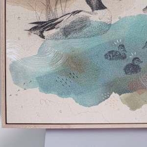Northern Shoveler, Filter Feeding Champion by Alicia Hauff Studio 