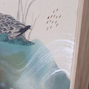 Northern Shoveler, Filter Feeding Champion by Alicia Hauff Studio 