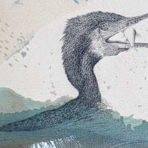 Double Crested Cormorant, Prehistoric Diver by Alicia Hauff Studio 