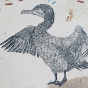 Double Crested Cormorant, Prehistoric Diver by Alicia Hauff Studio 