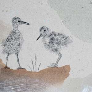 "Long Billed Curlew, Ahead of the Curve" by Alicia Hauff Studio 