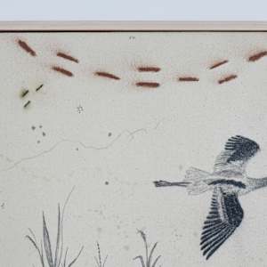 American Avocet, Aristocrat on Stilts by Alicia Hauff Studio 