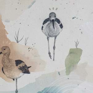 American Avocet, Aristocrat on Stilts by Alicia Hauff Studio 