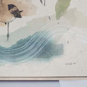 American Avocet, Aristocrat on Stilts by Alicia Hauff Studio 