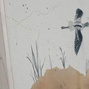 American Avocet, Aristocrat on Stilts by Alicia Hauff Studio 