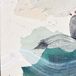Canvasback, Regal Diver by Alicia Hauff Studio 