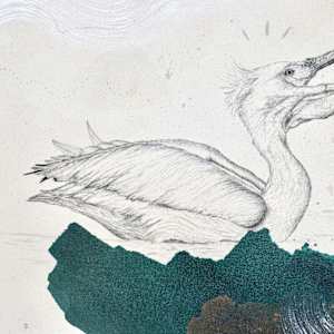 American White Pelican Has the Scoop by Alicia Hauff Studio 