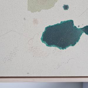 Trumpeter Swan, Big Love on the Lake by Alicia Hauff Studio 