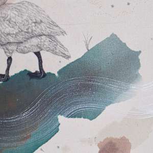 Trumpeter Swan, Big Love on the Lake by Alicia Hauff Studio 